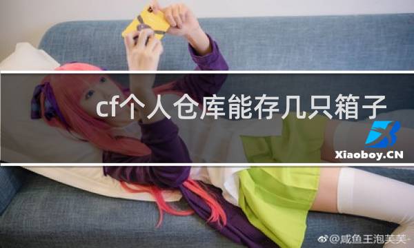 cf个人仓库能存几只箱子