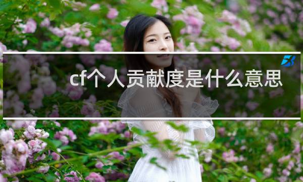 cf个人贡献度是什么意思