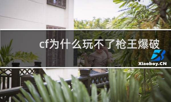 cf为什么玩不了枪王爆破