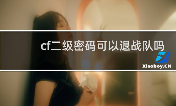 cf二级密码可以退战队吗