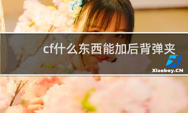 cf什么东西能加后背弹夹