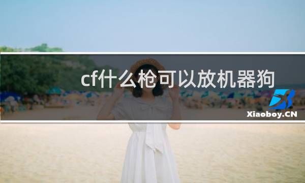 cf什么枪可以放机器狗