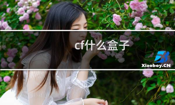cf什么盒子