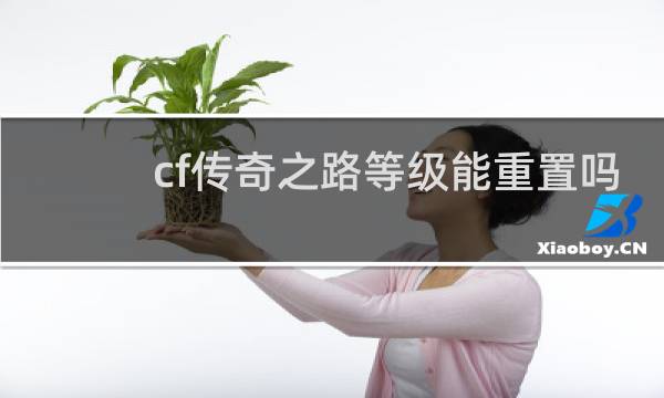 cf传奇之路等级能重置吗