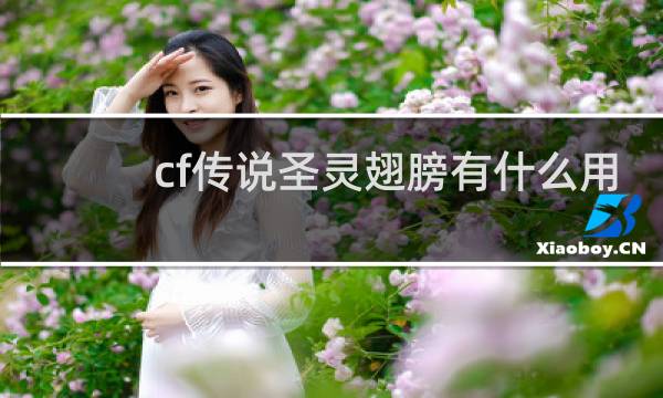 cf传说圣灵翅膀有什么用