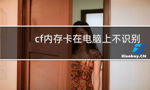 cf内存卡在电脑上不识别