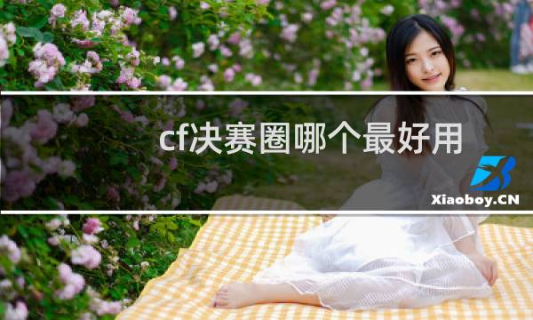 cf决赛圈哪个最好用