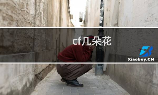 cf几朵花
