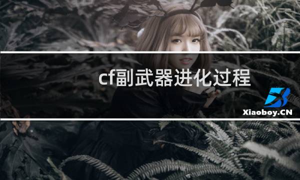 cf副武器进化过程