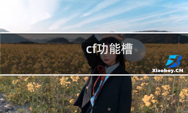 cf功能槽