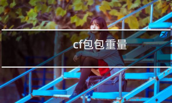 cf包包重量