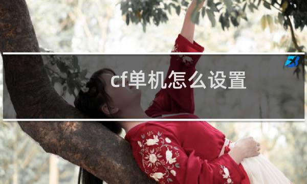 cf单机怎么设置