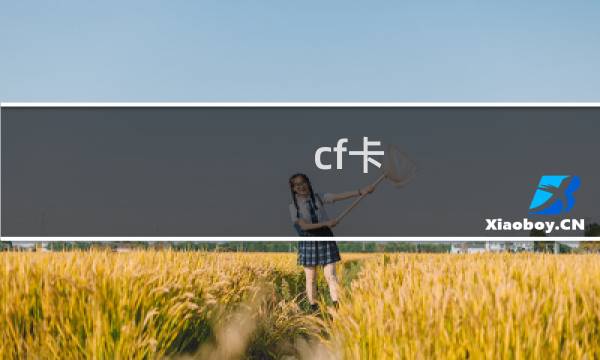 cf卡 几针