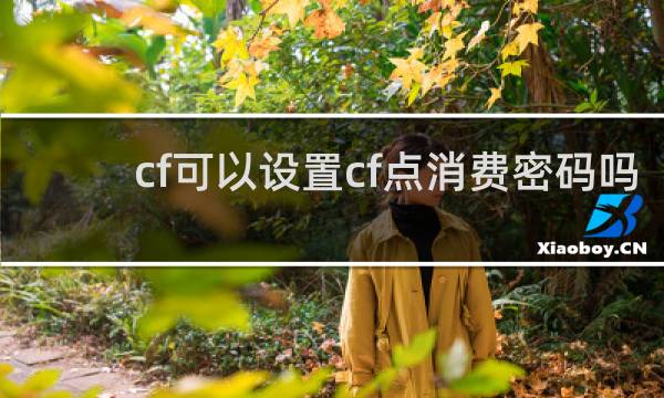 cf可以设置cf点消费密码吗