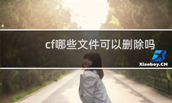 cf哪些文件可以删除吗