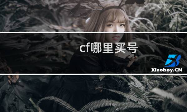 cf哪里买号