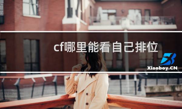 cf哪里能看自己排位