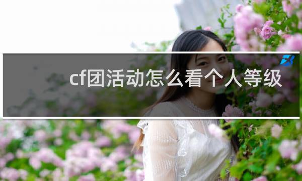 cf团活动怎么看个人等级