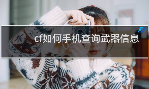 cf如何手机查询武器信息