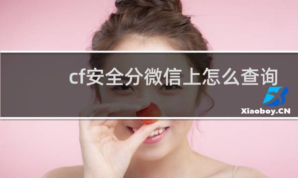 cf安全分微信上怎么查询