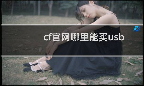 cf官网哪里能买usb