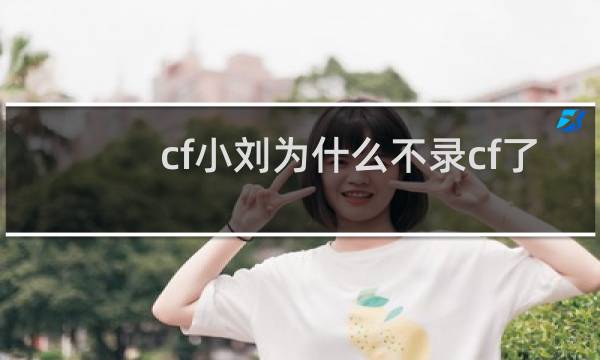 cf小刘为什么不录cf了