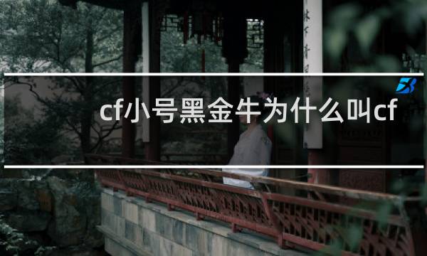cf小号黑金牛为什么叫cf
