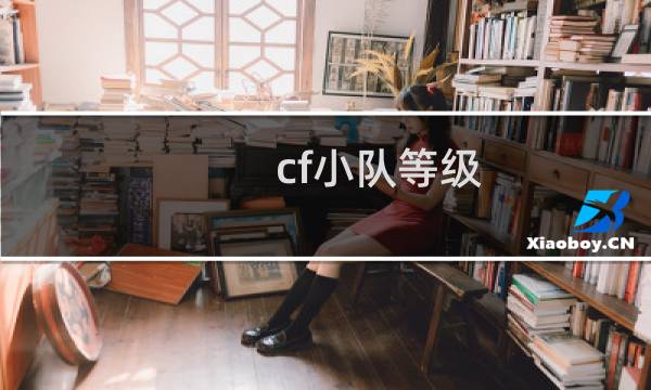 cf小队等级