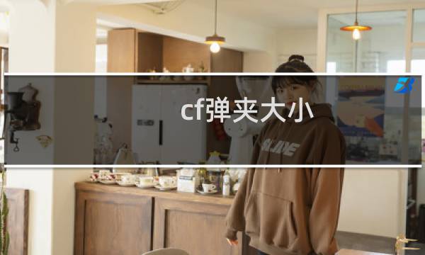 cf弹夹大小