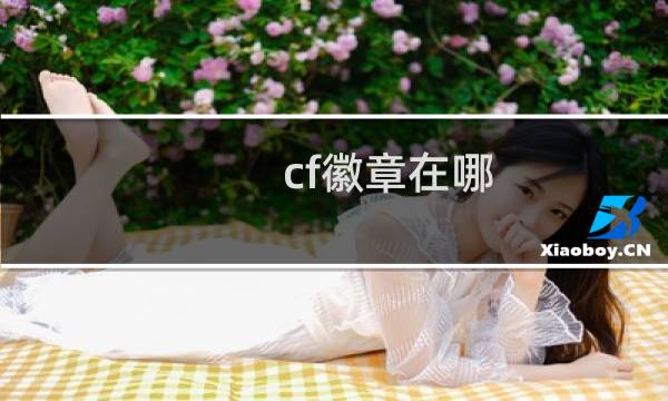 cf徽章在哪