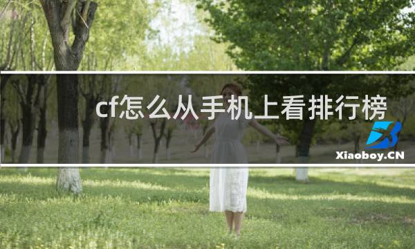 cf怎么从手机上看排行榜