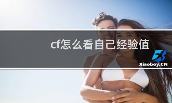 cf怎么看自己经验值