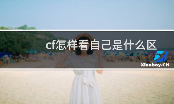 cf怎样看自己是什么区