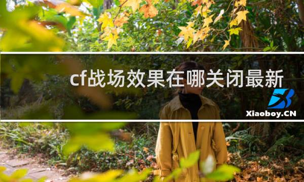 cf战场效果在哪关闭最新