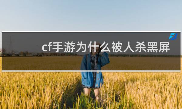 cf手游为什么被人杀黑屏