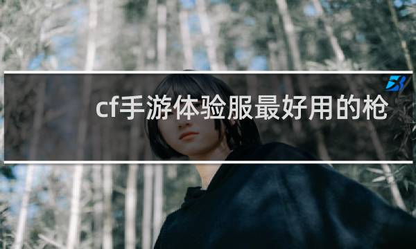 cf手游体验服最好用的枪