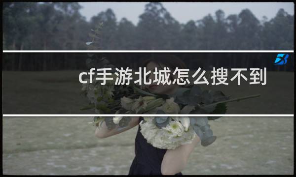 cf手游北城怎么搜不到