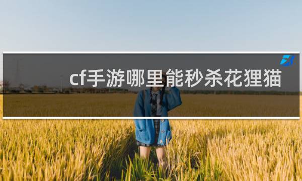 cf手游哪里能秒杀花狸猫