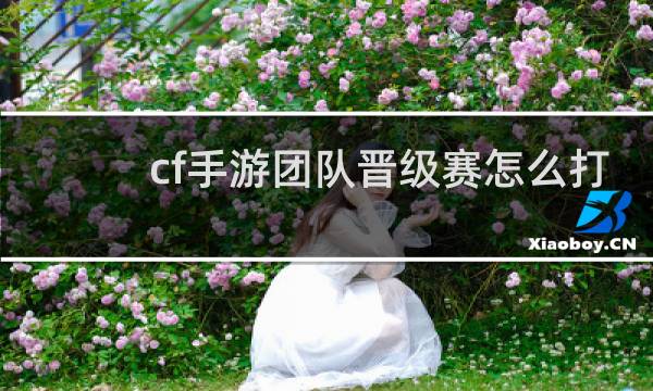cf手游团队晋级赛怎么打