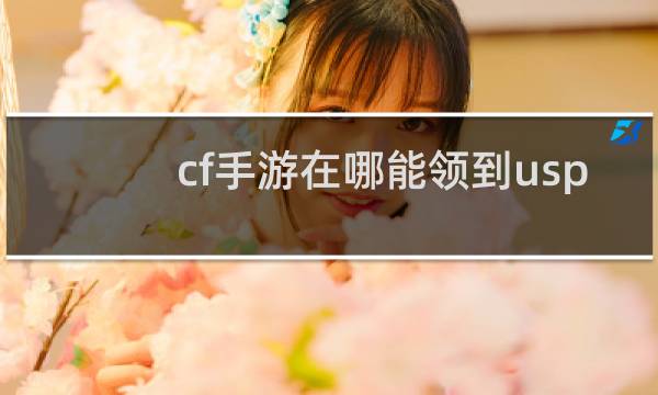cf手游在哪能领到usp