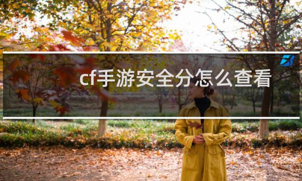 cf手游安全分怎么查看
