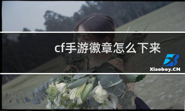 cf手游徽章怎么下来