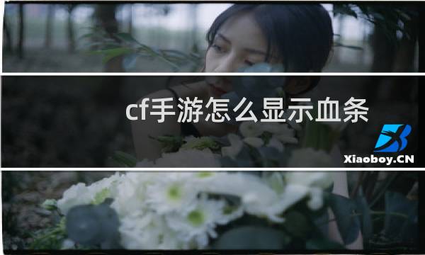 cf手游怎么显示血条