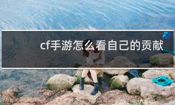 cf手游怎么看自己的贡献