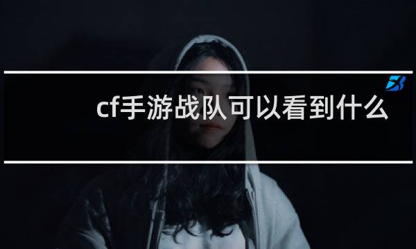 cf手游战队可以看到什么