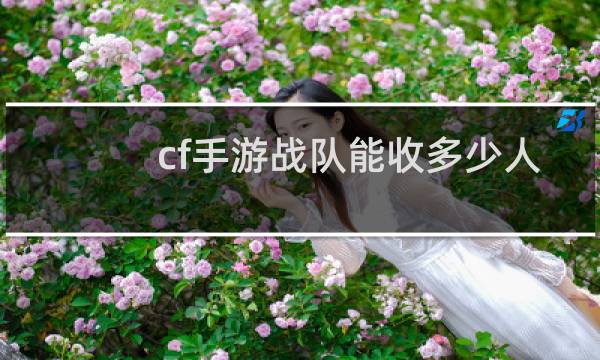 cf手游战队能收多少人