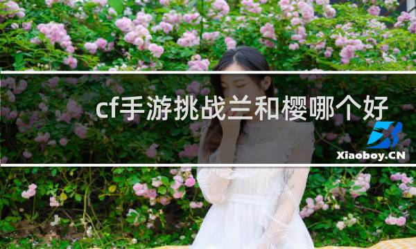 cf手游挑战兰和樱哪个好