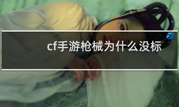 cf手游枪械为什么没标