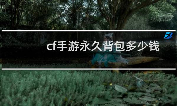 cf手游永久背包多少钱
