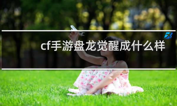 cf手游盘龙觉醒成什么样